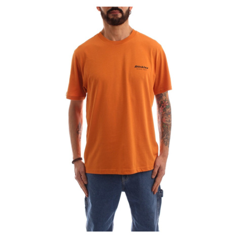 Dickies DK0A4XNYC381 Oranžová