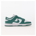 Tenisky Nike W Dunk Low Next Nature White/ Bicoastal