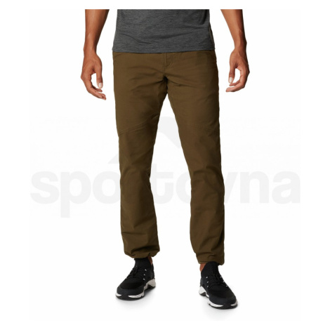 Kalhoty Columbia Wallowa™ Belted Pant M - zelená