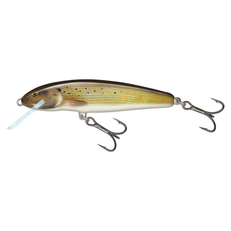 Salmo Wobler Minnow Floating 7cm - Grayling