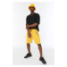 Trendyol Yellow Men's Regular Fit Shorts & Bermuda