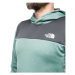 The North Face REAXION FL PO HD Zelená