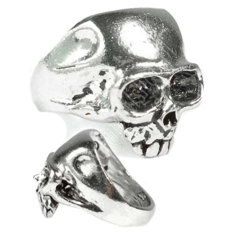 prsten Skull - Alchemy Gothic - R6