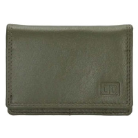 Double-D Zelená malá kožená peněženka 