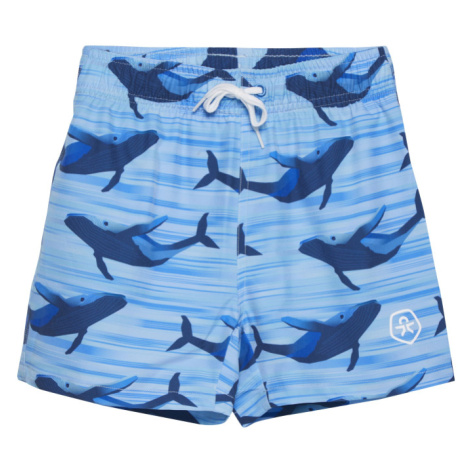 COLOR KIDS-Swim Shorts - AOP-7553-Azure Blue Modrá