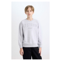 DEFACTO Girl Gray Crew Neck Printed Sweatshirt