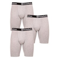 3PACK pánské boxerky Horsefeathers Dynasty long (AM195C)