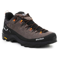Salewa Alp Trainer 2 Gore-Tex® Men's Shoe 61400-7953 ruznobarevne