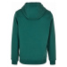 Starter / team 1971 Hoody darkfreshgreen