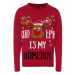 LIVERGY® Pánský vánoční svetr s LED (červená)
