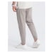 Men's sweatpants joggers - ash V1 OM-PASK-0142