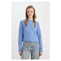 DEFACTO Regular Fit Half Turtleneck Knitwear Sweater