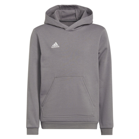 Sportovní mikina 'Entrada 22 Sweat' Adidas