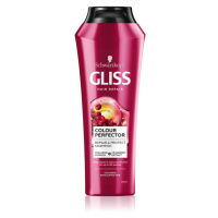 Schwarzkopf Gliss Color Perfector ochranný šampon pro barvené vlasy 250 ml