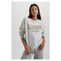 DEFACTO Relax Fit Crew Neck Thick Sweatshirt