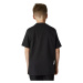 Dětské tričko Fox Youth Legacy Ss Tee černá/růžová