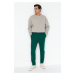 Trendyol Limited Edition Green Men's Regular/Normal Fit Premium Elastic Legs Basic Sweatpants.