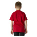 Dětské tričko Fox Yth Rkane Head Ss Tee Flame Red