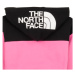 The North Face Girls Drew Peak Crop P/O Hoodie Růžová