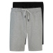 Trendyol Multi Color Basic Regular/Normal Fit Plain 2-Pack Shorts