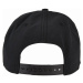 Kšiltovka // Cayler and Sons / Never Liked You P Cap black