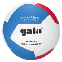 Míč na volejbal gala pro-line 12 bv 5125