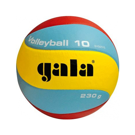 Gala Volleyball 10 BV 5651 S - 230g