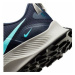 Nike Pegasus Trail 3 ruznobarevne