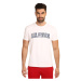 Pánské tričko Tommy Hilfiger vícebarevné (UM0UM02436 YBR)