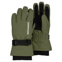 Dětské rukavice Didriksons BIGGLES Gloves prstové - Deep Green 300