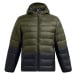 Pánská bunda Under Armour Legend Down Hooded Jacket