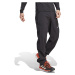 adidas Terrex Techrock Mountaineering Softshell Pants