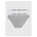 Dívčí kalhotky 2-PACK TH ORIGINAL LOGO WAISTBAND BRIEFS UG0UG003820UD šedá/bílá - Tommy Hilfiger