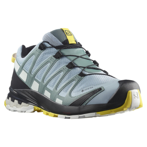 Salomon XA PRO 3D v8 GTX W L41629700 - Zen Blue/White/Golden Kiwi