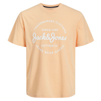 Jack&Jones Pánské triko JJFOREST Standard Fit 12247972 Apricot Ice