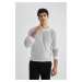 DEFACTO Standard Fit Crew Neck Sweater