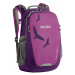 Boll Batoh Falcon boysenberry 20l