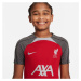 Nike Liverpool FC Strike SS Top Jr Shirt FD7088-688