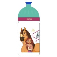 Karton P+P Láhev na pití 500 ml Spirit Riding Free