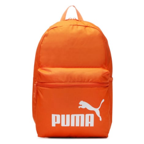 Batoh Puma