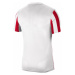 Pánské pruhované fotbalové tričko Division IV M CW3813-104 - Nike