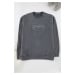 Trendyol Anthracite Oversize/Wide Cut Crew Neck Text Embroidered Vintage/Faded Effect Sweatshirt