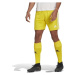 adidas SQUADRA 21 SHORTS Pánské fotbalové šortky, žlutá, velikost