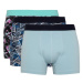 DEFACTO Regular Fit 3-pack Boxer