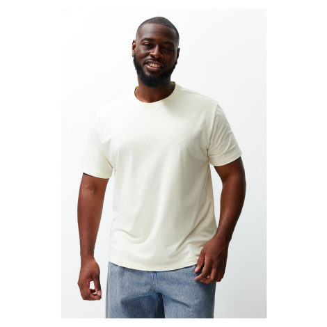Trendyol Stone Plus Size Comfy Regular/Regular Cut Basic T-Shirt