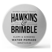 Hawkins & Brimble Pomáda na vlasy na vodní bázi s vůní elemi a ženšenu (Elemi & Ginseng Water Po