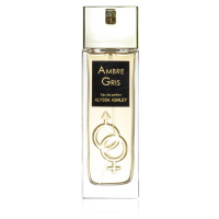 Alyssa Ashley Ambre Gris parfémovaná voda pro ženy 50 ml