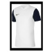 Pánské boty Dri-Fit Tiempo Premier 2 M DH8035-100 - Nike