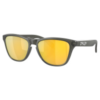 Oakley Frogskins 90063753 Matte Grey Smoke/Prizm 24K Polar Lifestyle brýle