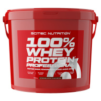 Scitec Nutrition 100% Whey Protein Professional 5000 g vanilka-lesní ovoce